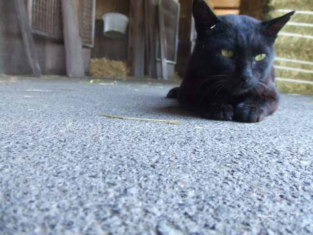 2010_08130008.jpg