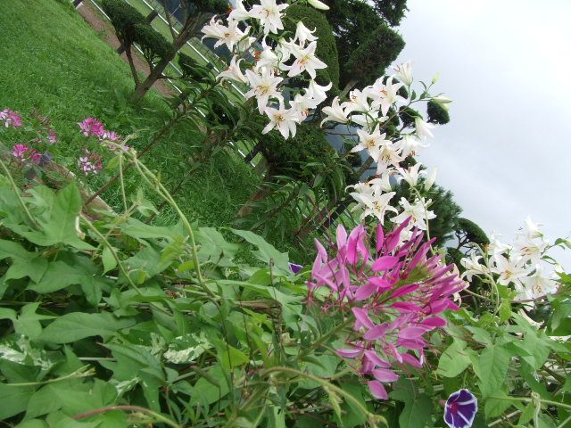 2010_08130005.jpg