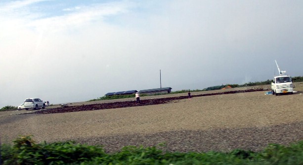 2010_08280016.jpg