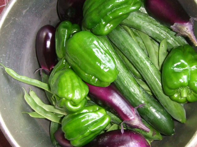 2010_07260002.jpg