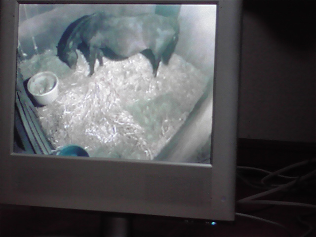 2010051319090000.jpg