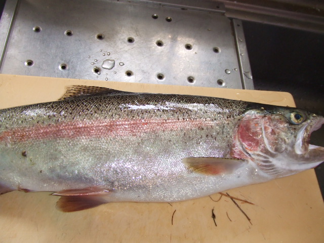 2010_08290006.jpg